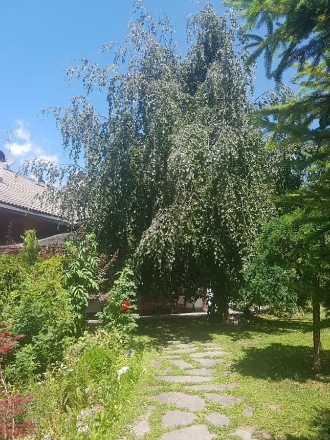 Appartement Pelegrin 15 à San Vigilio Extérieur photo